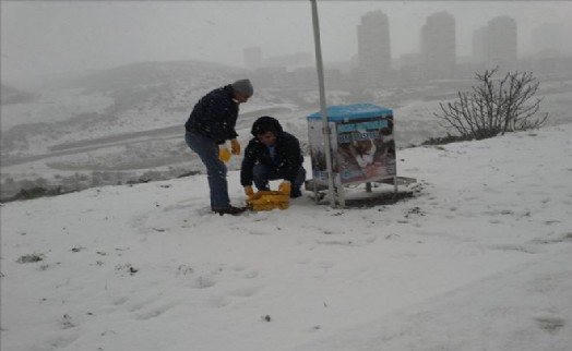 Başakşehir Belediyesi Sokak Hayvanlarını Unutmadı