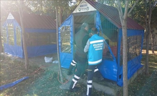 AVCILAR´DA SOKAK HAYVANLARI KIŞI SICAK GEÇİRECEK
