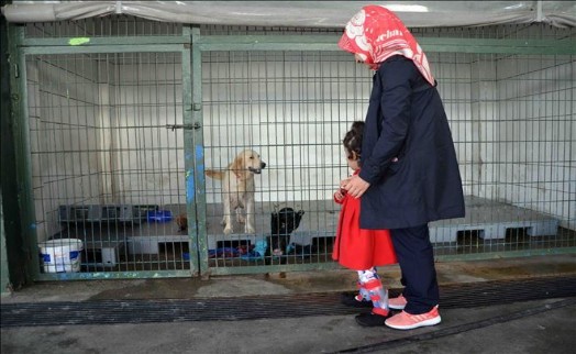 ?16 Yaşında İlk Kez Köpeğe Dokundular?
