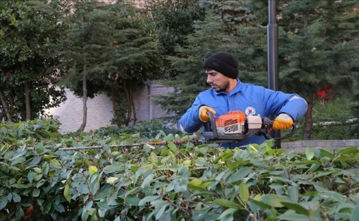 KAĞITHANE´DE SİTE BAHÇELERİ BAKIM ÇALIŞMALARI BAŞLADI