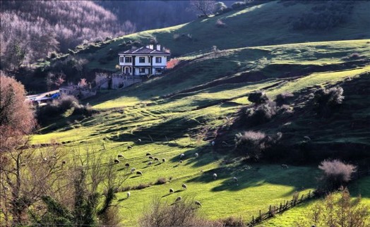 ŞİLE, ÇANAKKALE VE PERŞEMBE ?GELECEK TURİZM´DE´ DEDİ