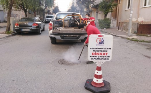 BAYRAMPAŞA'DA SİVRİSİNEKLE DÖRT MEVSİM MÜCADELE