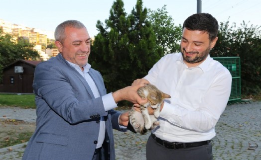 KAĞITHANE'DE SOKAK HAYVANLARI İÇİN BELEDİYE VE VATANDAŞ EL ELE VERDİ