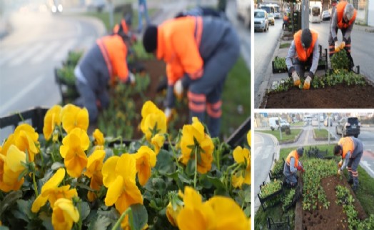 GAZİOSMANPAŞA'DA BİNLERCE ÇİÇEK TOPRAKLA BULUŞTU