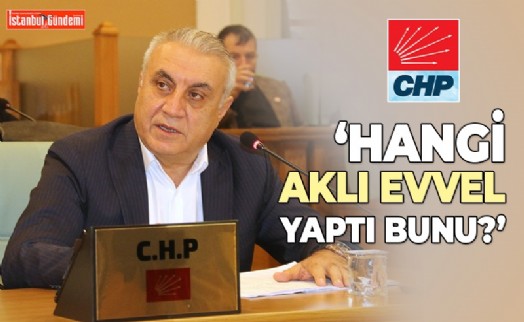 CHP'Lİ MECLİS ÜYESİNDEN ZEYTİNBURNU BELEDİYESİ'NE ZEHİR ZEMBEREK AÇIKLAMALAR