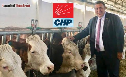 GÜRER: 'SÜT ÜRETİCİSİ YİNE SIRTINDAN VURULDU'