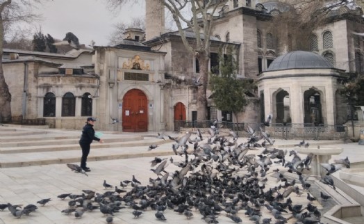 EYÜPSULTAN GÜVERCİNLERİNİN RIZKI ANTALYA'DAN GELDİ