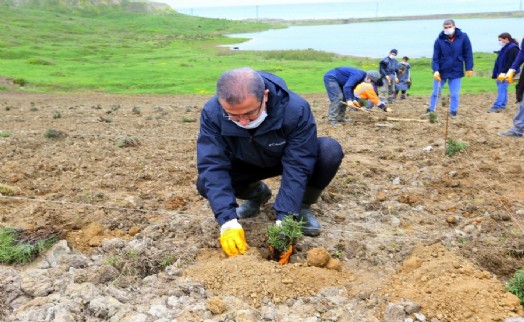 EYÜPSULTAN'A 15 BİN LAVANTA DİKİLECEK!