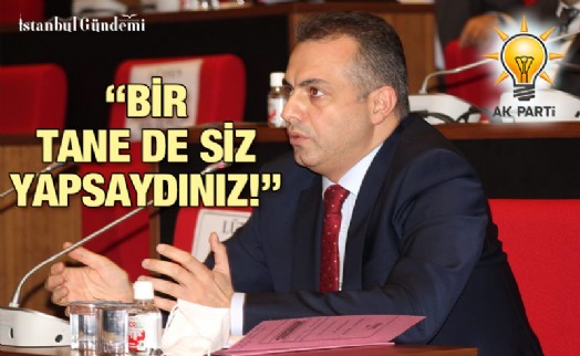 MAİLİKİ EJDER BATUR'DAN CHP'YE SİTEM DOLU ELEŞTİRİ