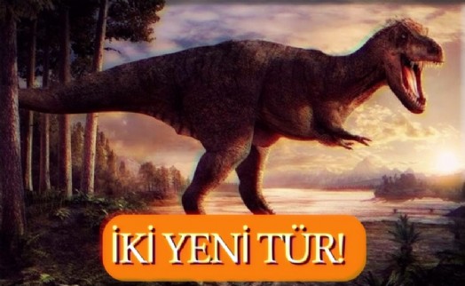 125 Milyon Yıl Öncesinden 2 Yeni Dinozor Keşfi!