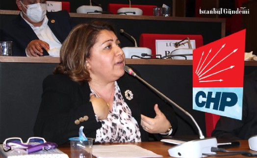 FİLİZ ÖZTÜRK ÇELİK'İN ‘MUHALEFET ŞERHİ'NE MECLİSTE SANSÜR