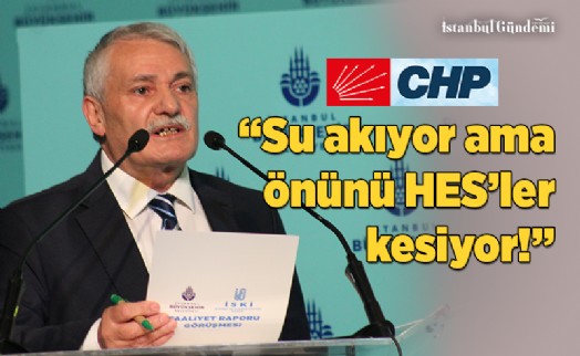 NİZAMETTİN GÜNEL: ‘HES'LER DOĞAYI KATLEDİYOR'