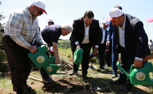 Başkan Yazıcı'dan fidelere can suyu