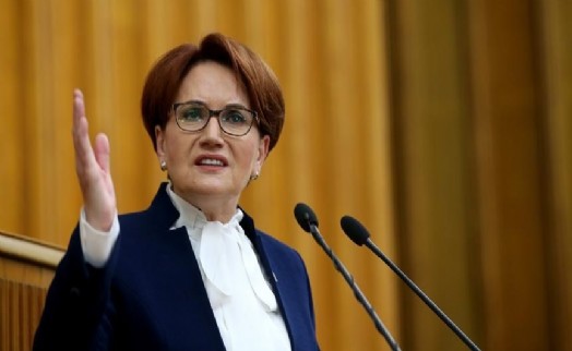 Meral Akşener'e köpek saldırısı!