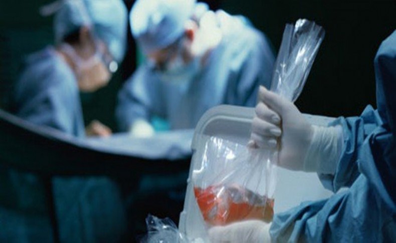 Türkiye'de 28 bin kişi organ nakli bekliyor