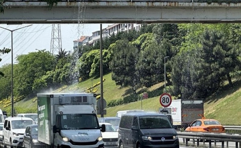 TEM Otoyolu’nda ilginç görüntüler! Sürücüler zor anlar yaşadı