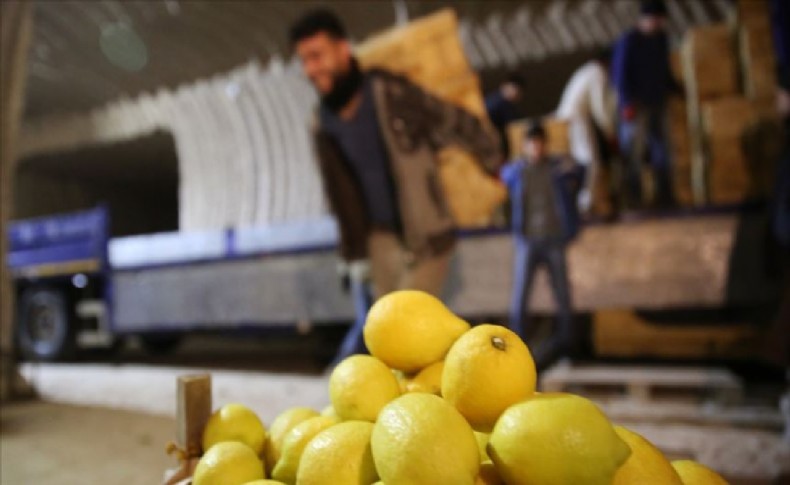 İBB’nin 100 ton limon dağıtımıyla ilgili yapılan haberler için karar belli oldu!